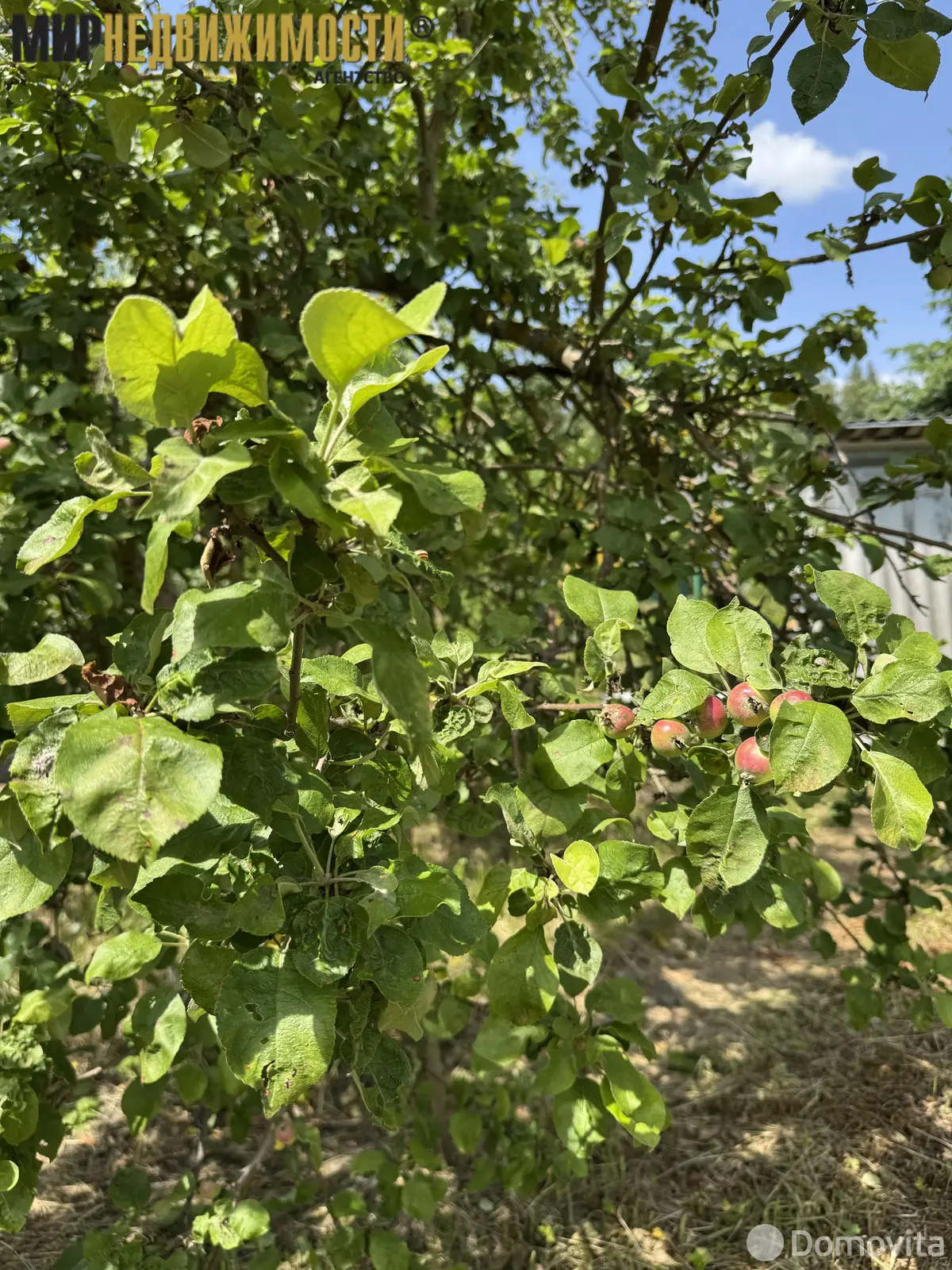 дача, Полет, 