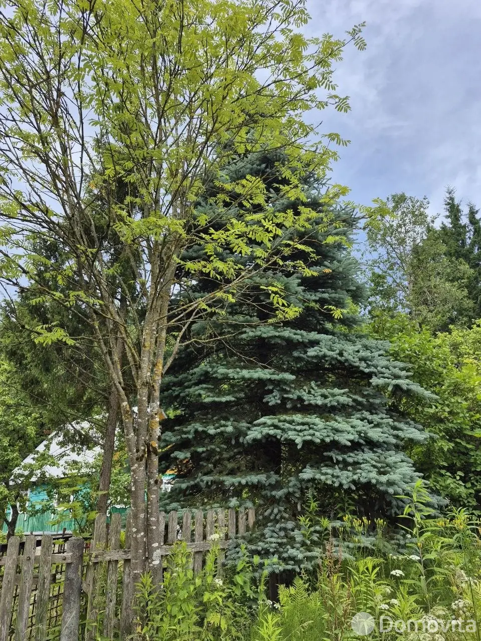Продажа 2-этажной дачи в Витебске Витебская область, 39000BYN, код 186562 - фото 25