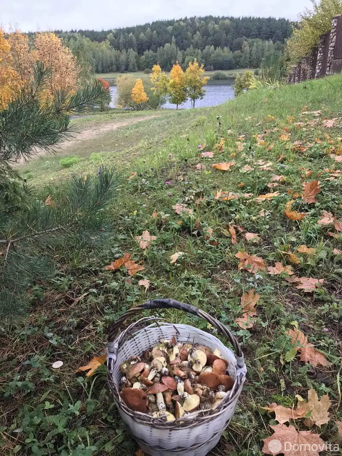 участок, Раубичи, 