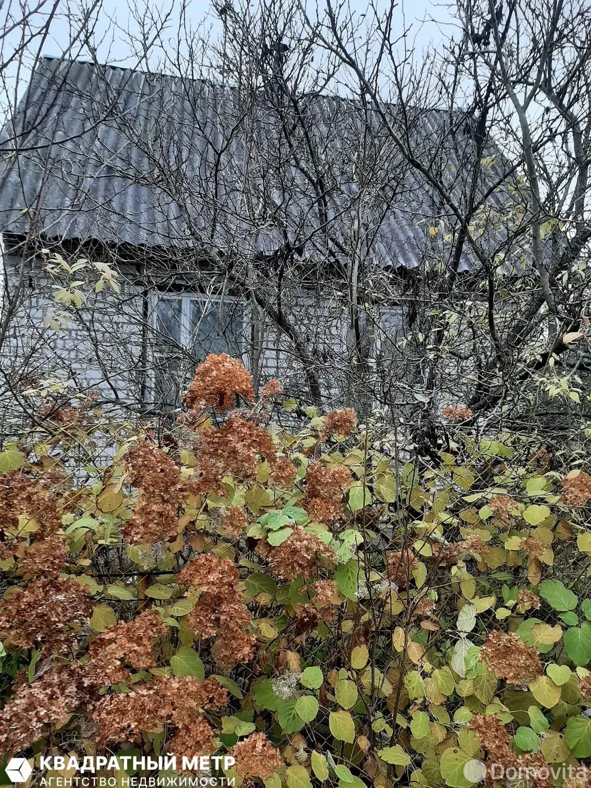 Купить 2-этажную дачу в ДАЛЬНИЙ ОСТРОВ Минская область, 10000USD, код 185022 - фото 11