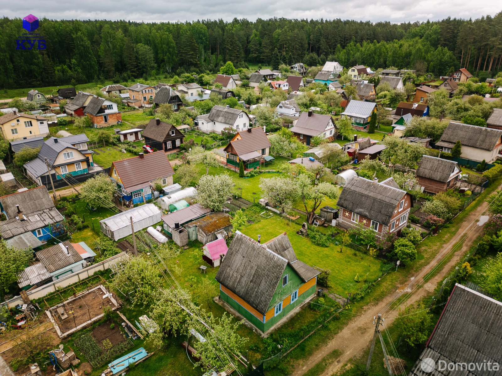дача, Сосна, 