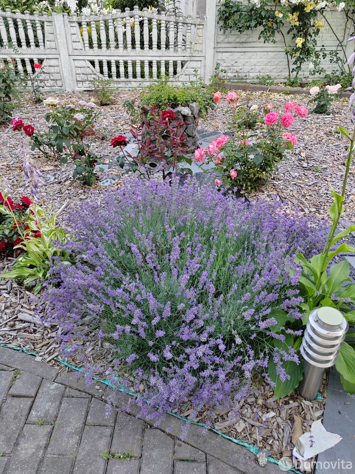  Коттедж на сутки в Несвиже ул. Пролетарская, д. 36, 50BYN, код 1244 - фото 17