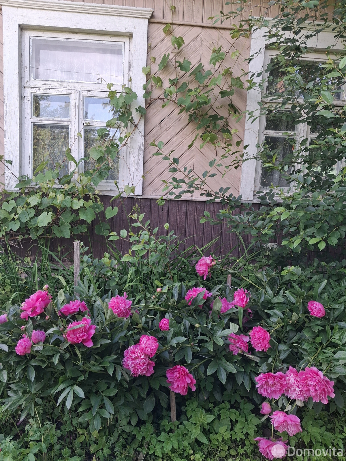 коттедж, Новый Двор, 