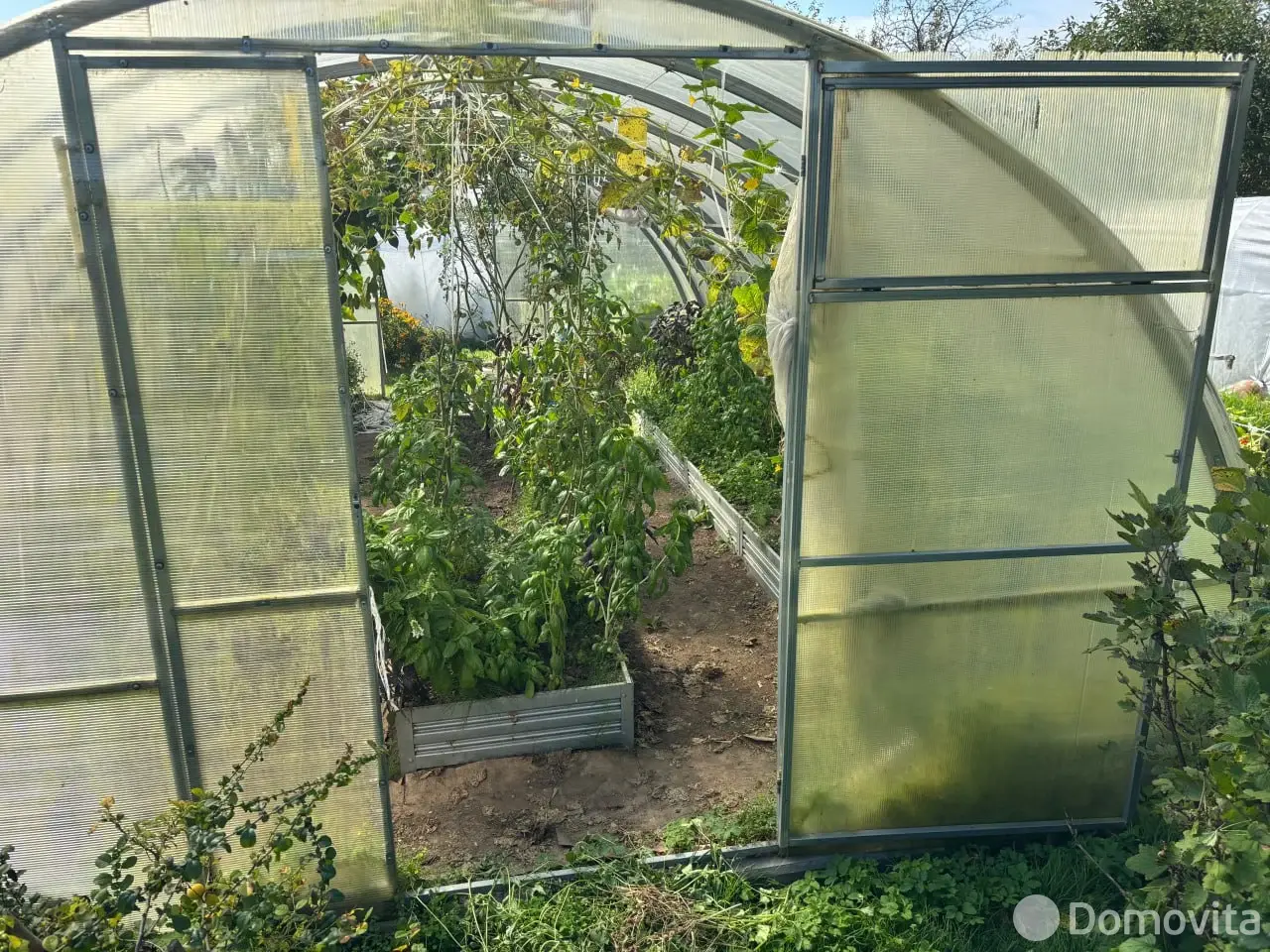 дача, Голубика,