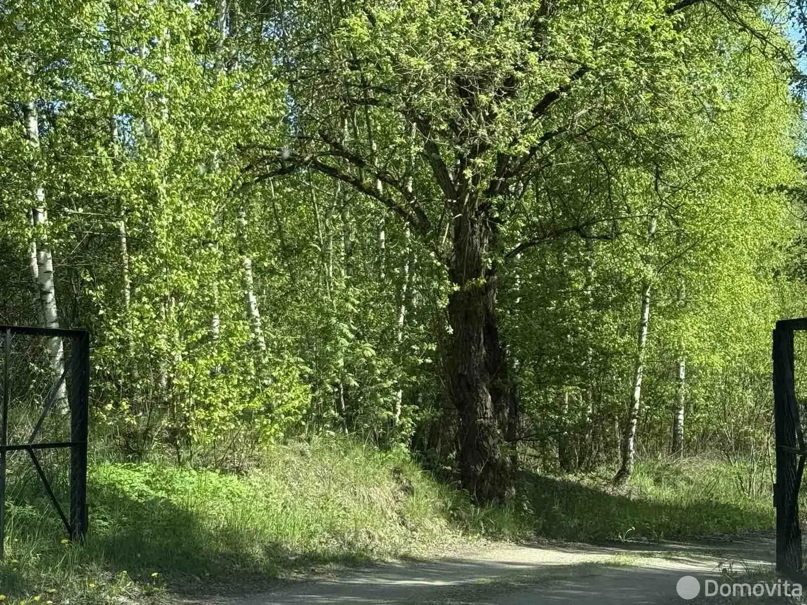 Продажа 1-этажной дачи в Лесное Минская область, 21990USD, код 182855 - фото 29