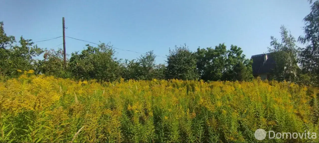 участок, Лесное-90 ,