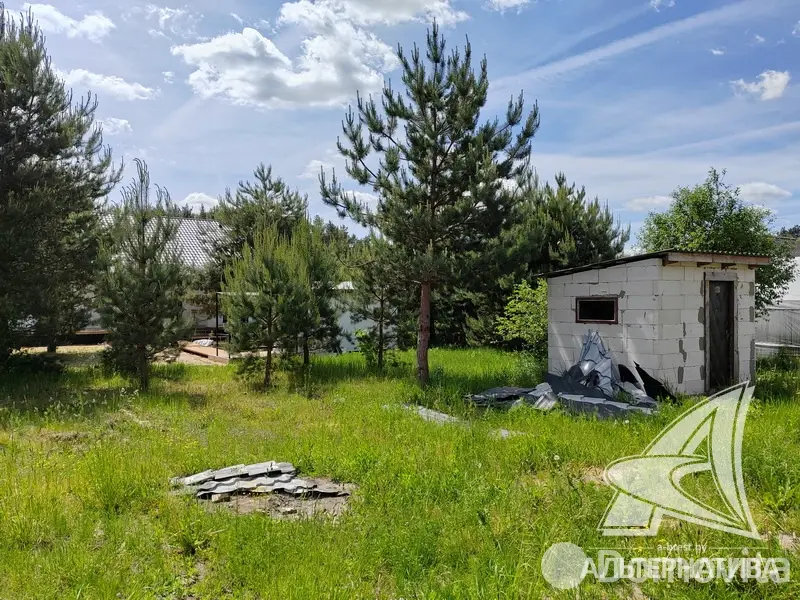 Продажа 1-этажной дачи в Росинка при Брестском ДЭУ-138 Брестская область, 216000BYN, код 185910 - фото 27