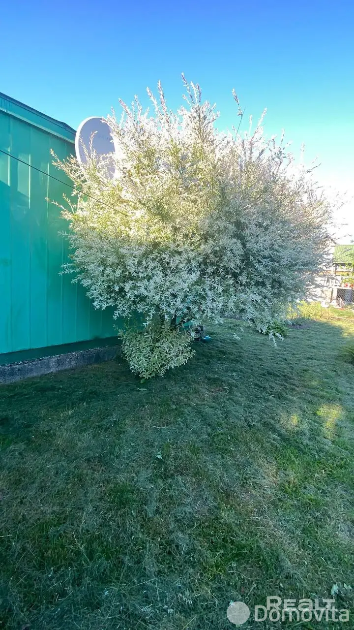 Купить земельный участок, 6 соток, Чистая Росинка, Минская область, 5500USD, код 571681 - фото 16