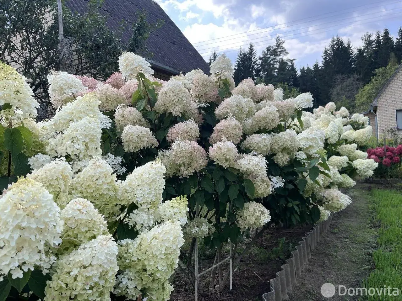 Купить 1-этажную дачу в Лесная поляна Минская область, 25000USD, код 185115 - фото 11