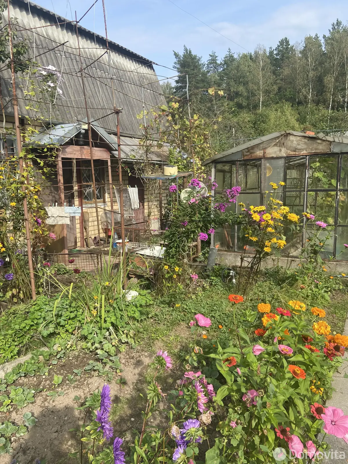 Продажа 1-этажной дачи в Вязань Минская область, 17000USD, код 184185 - фото 14