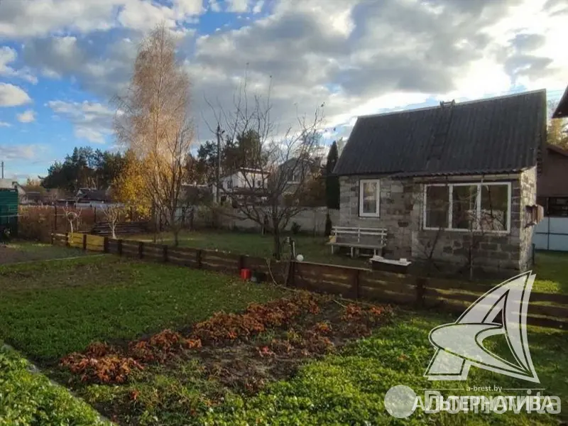 дача, Березка-87, 