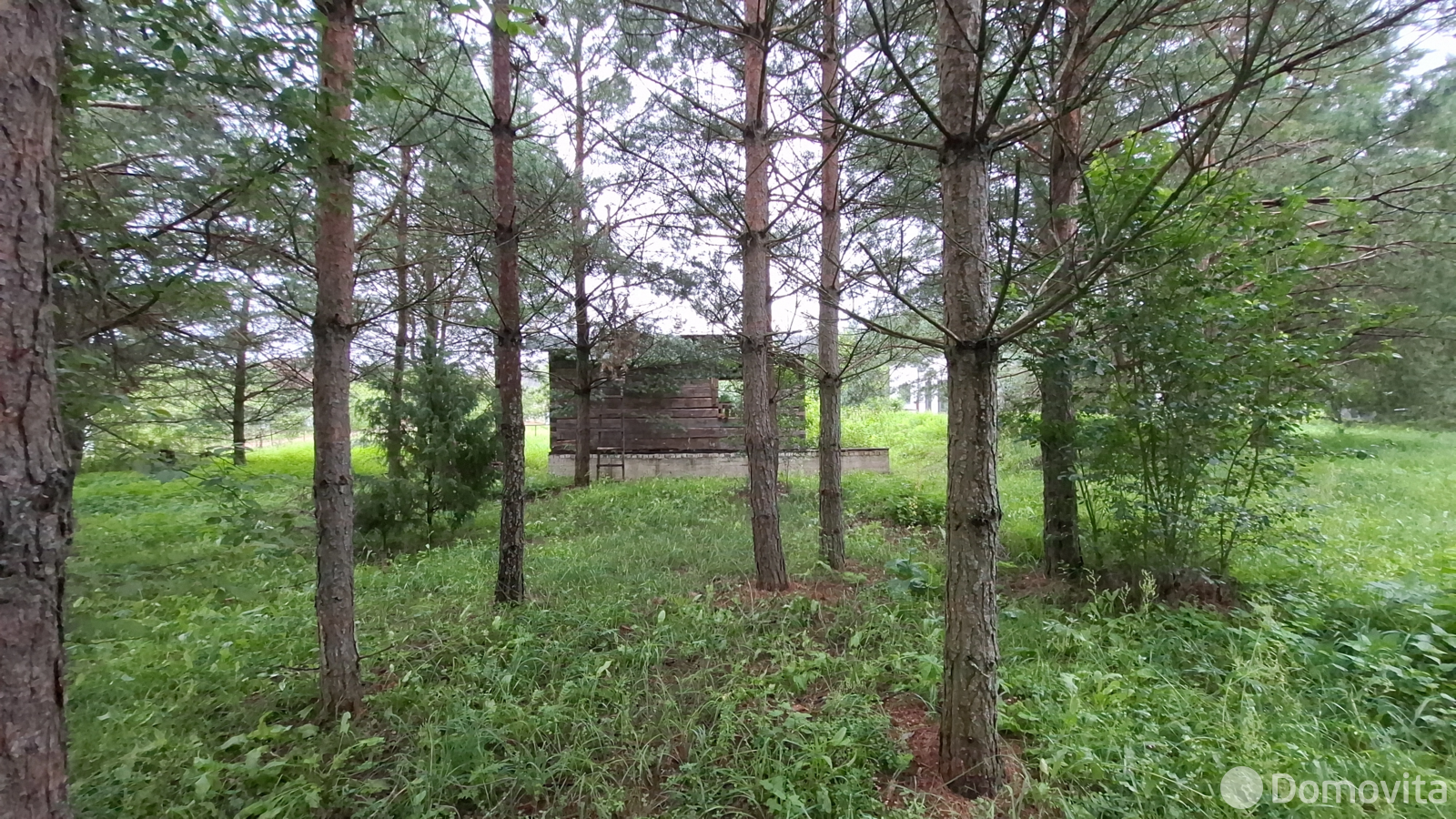 Купить земельный участок, 15.98 соток, Молоди, Минская область, 31000USD, код 570938 - фото 20