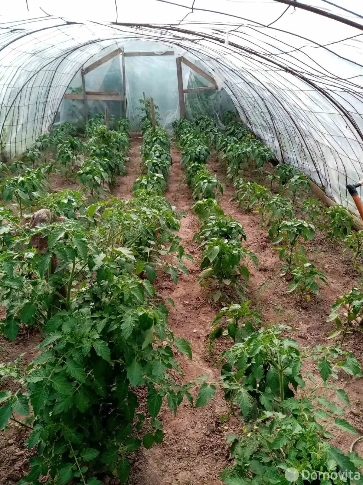 Стоимость продажи участка, Орша, пер. Климента Тимирязева