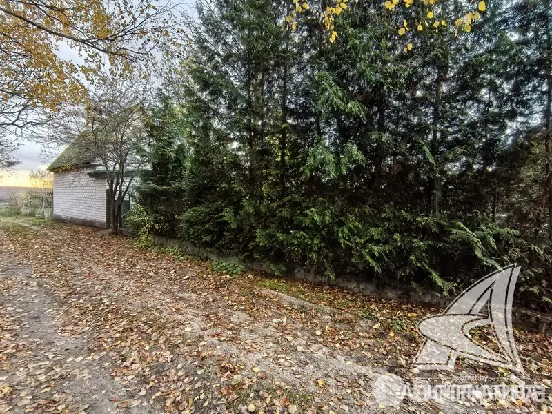 Продажа 1-этажной дачи в Машиностроитель Брестская область, 42000USD, код 184448 - фото 26