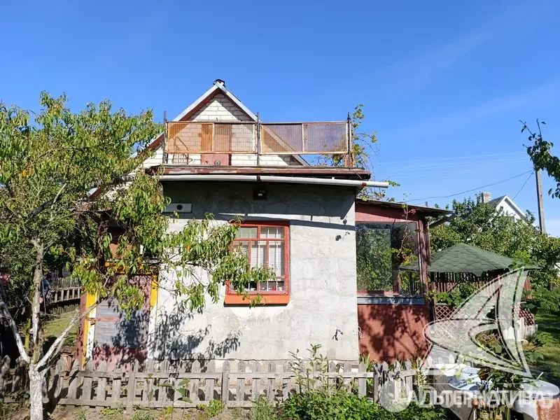 дача, Сигнал-2009, 