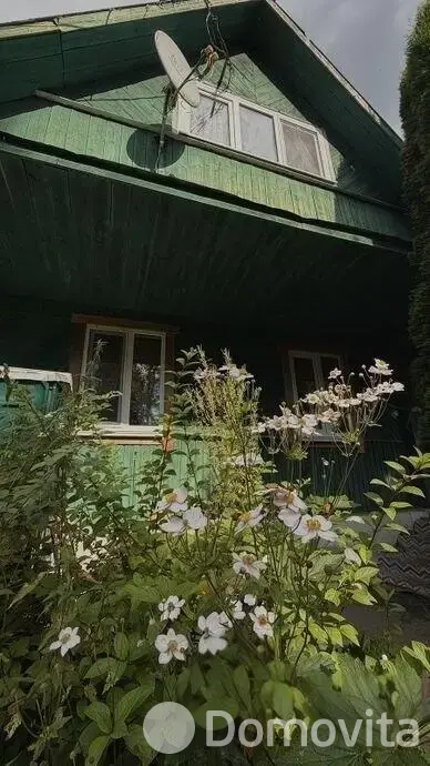 дача, Веселый турист,