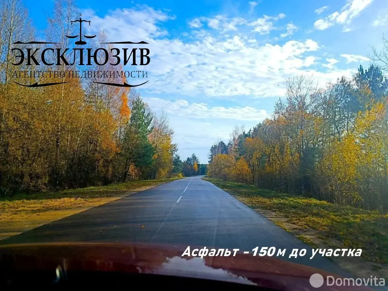 Купить земельный участок, 25 соток, Гиревичи, Минская область, 140000BYN, код 572180 - фото 27