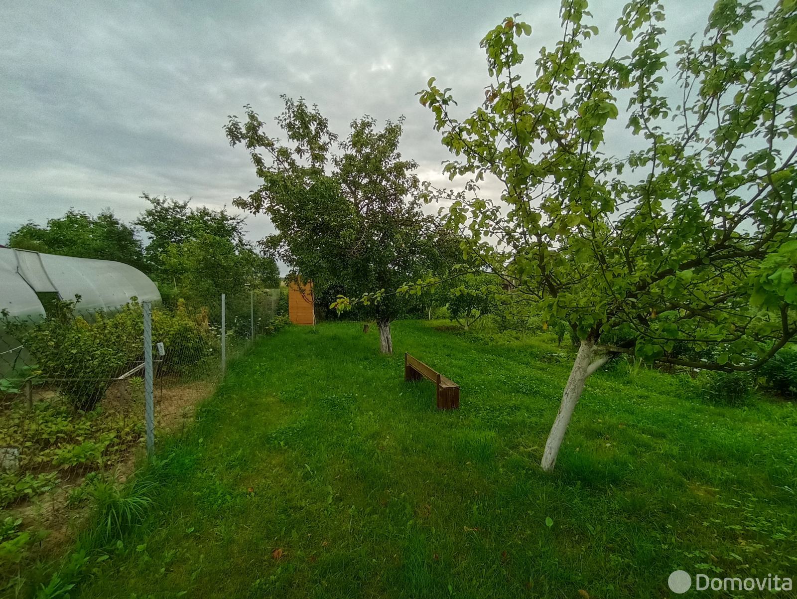 дача, Горошки,