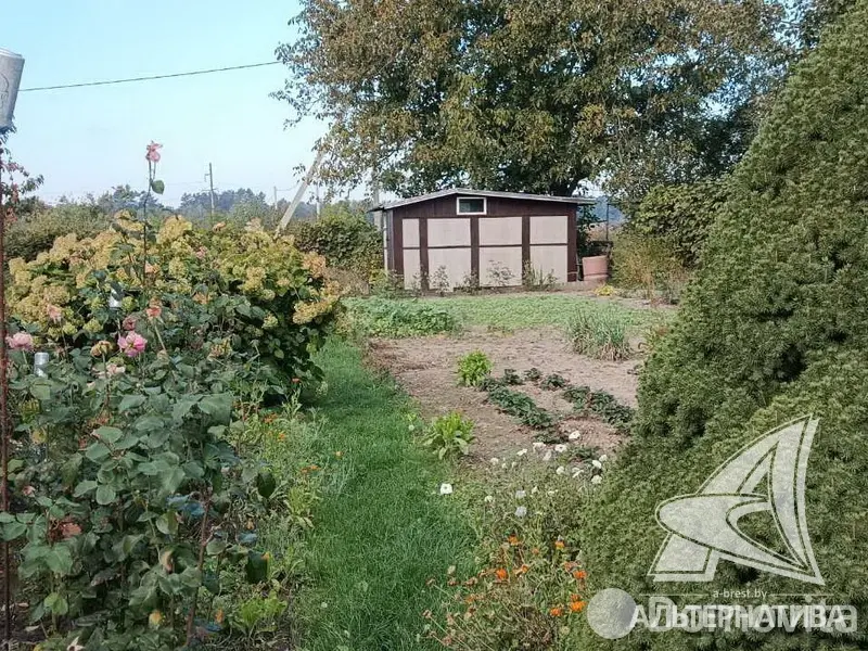 Купить 1-этажную дачу в Тепличка Брестская область, 10500USD, код 184261 - фото 15