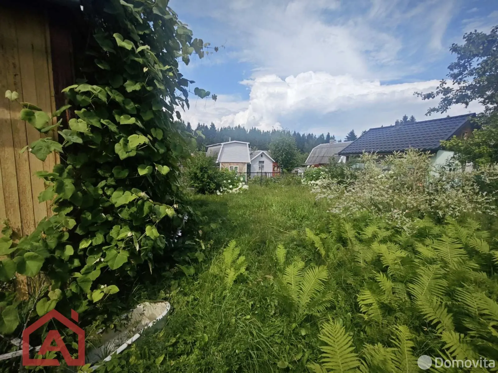 Купить 1-этажную дачу в СИГНАЛ-2 Минская область, 17000USD, код 185445 - фото 16