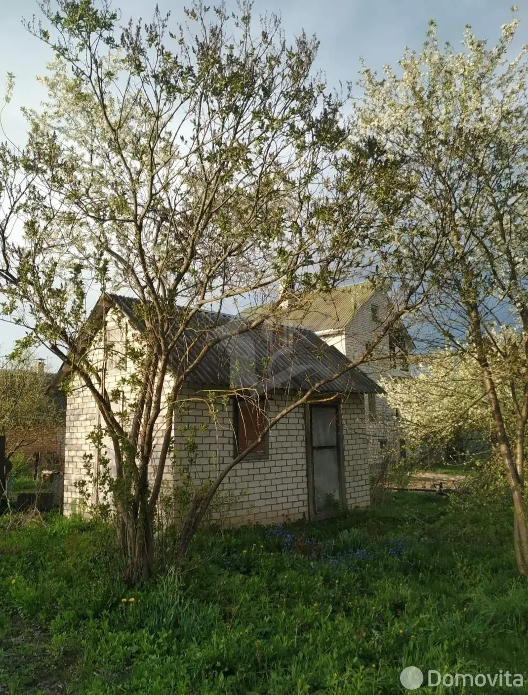 участок, Маладость, 