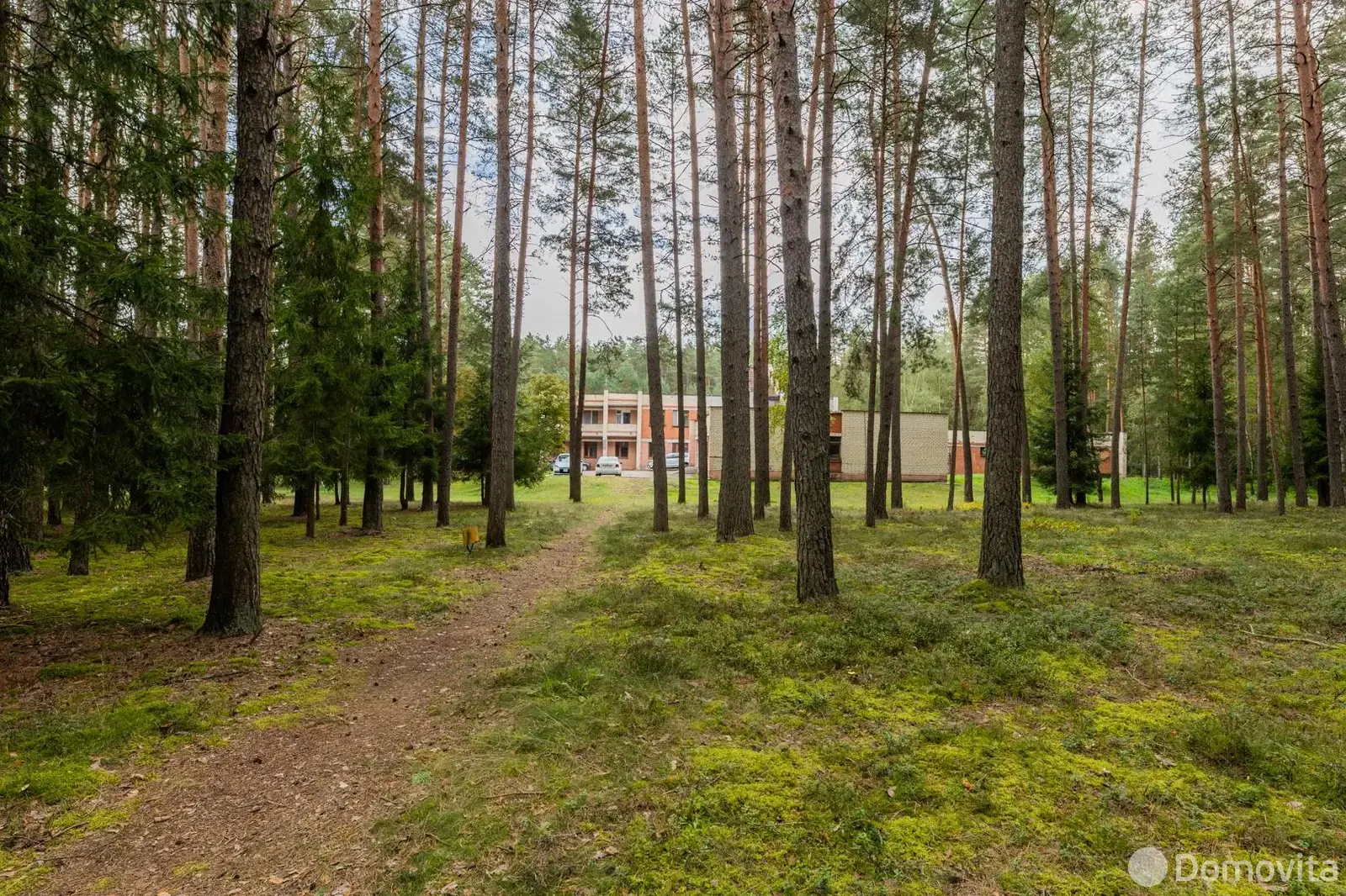 Купить помещение под сферу услуг в Ракове, ул. Боровая - фото 21