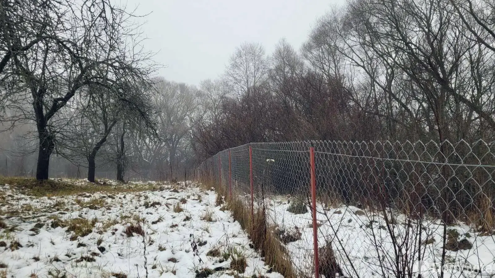 дом, Уша, ул. Ивана Маркевича