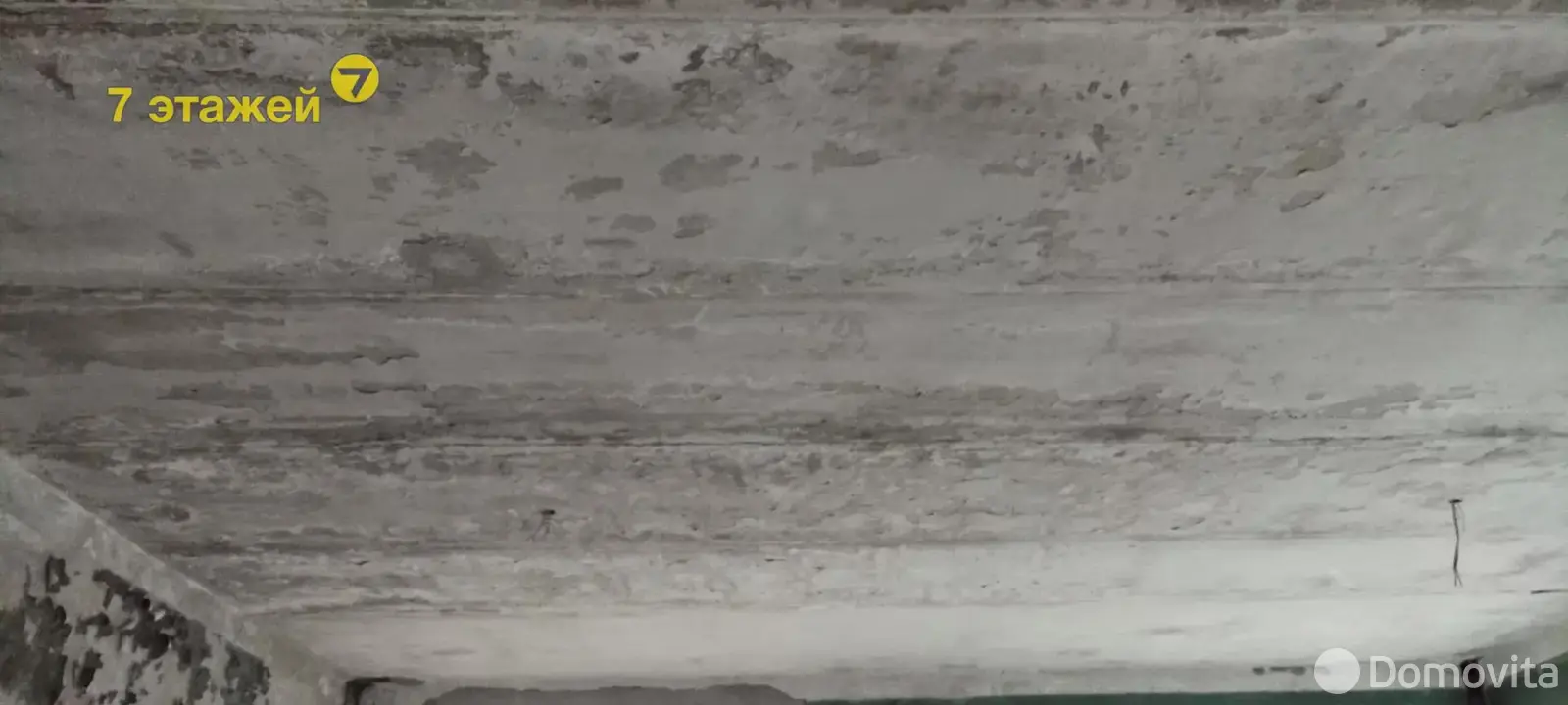 Продажа торговой точки на ул. Рогачёвская, д. 37 в Бобруйске, 180000USD, код 997202 - фото 22