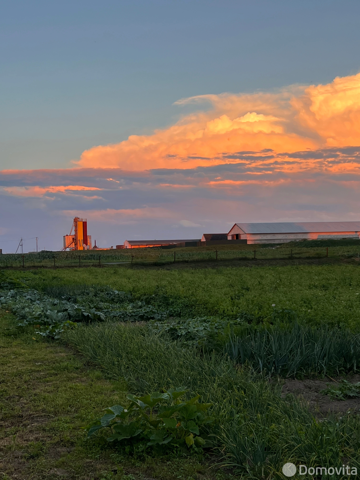 Продажа 1-этажной дачи в Преснаках Минская область, 13500USD, код 183548 - фото 28