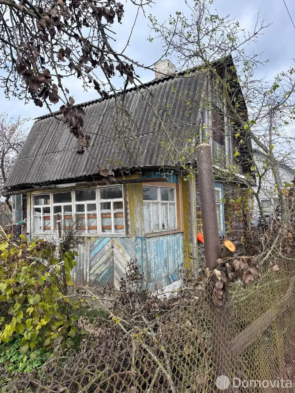 дача, Шарик,