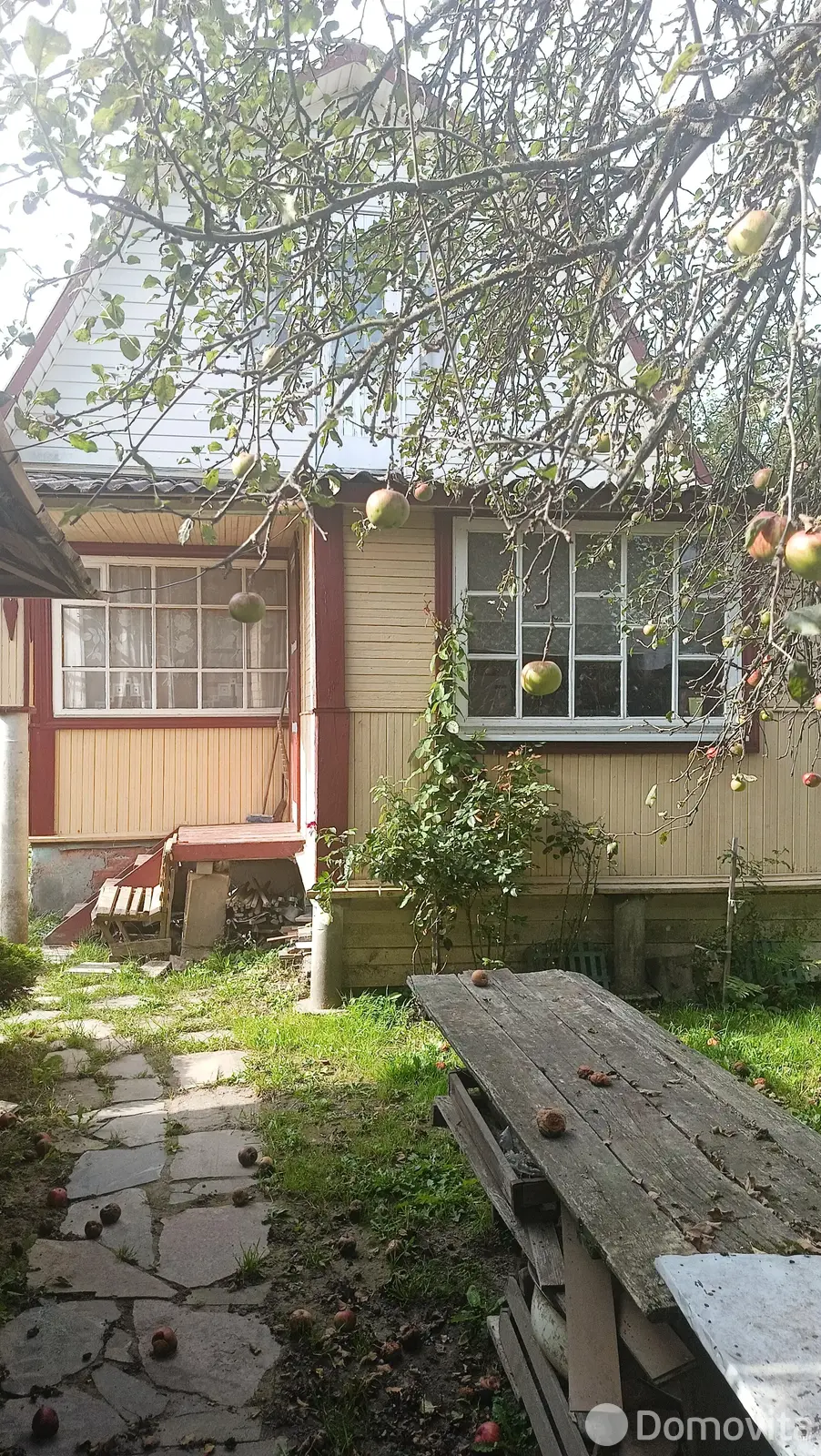 дача, Елочка, д. 53