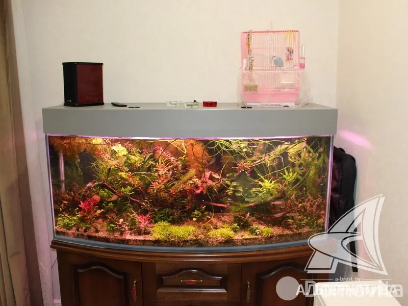 Стоимость продажи коттеджа, Брест, 