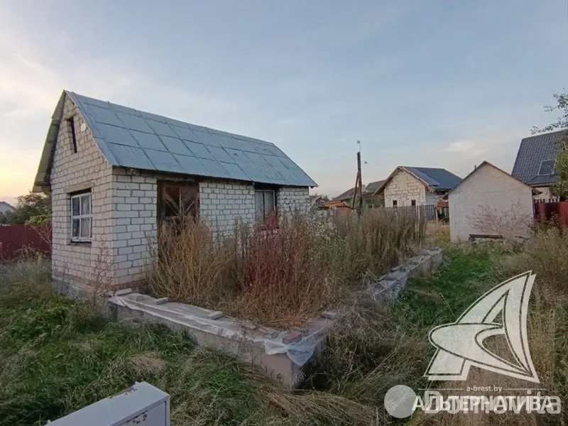 участок, Урожай ОАО Брестхлебопродукт, 