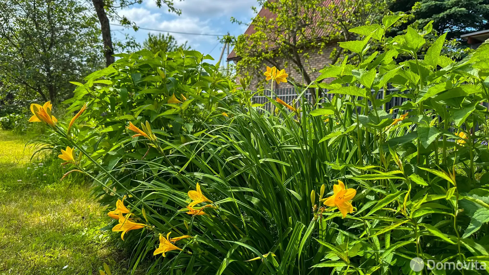 купить дачу, ОРБИТА-82, д. 56