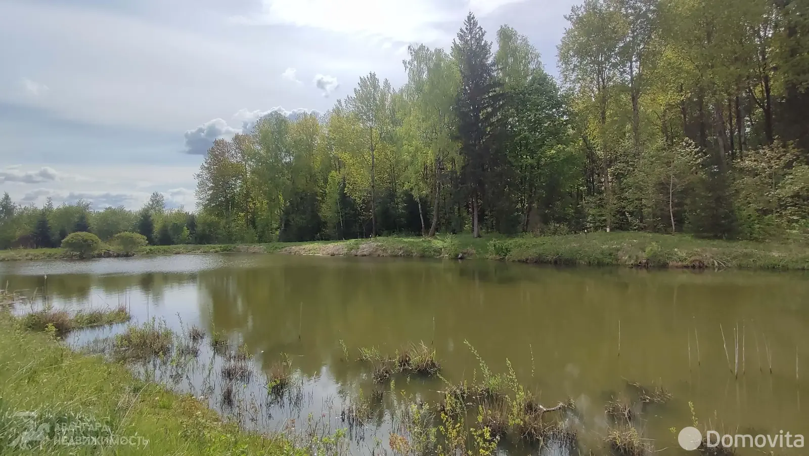 участок, Шишки, 