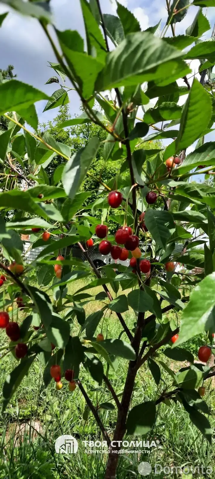 дача, Золотой колосок, - лучшее предложение