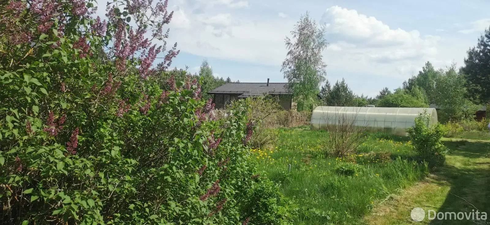 купить участок, Лаванда Лесная, 