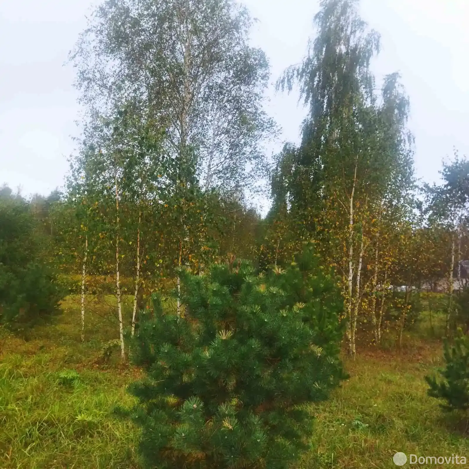 участок, Свислочь, - лучшее предложение