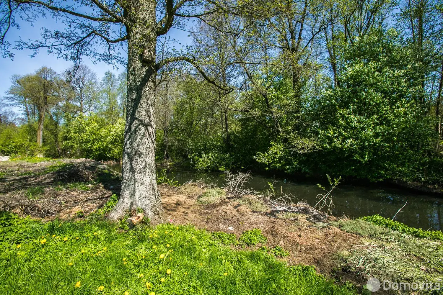 офис, Пильница, ул. Центральная, д. 16/Б 