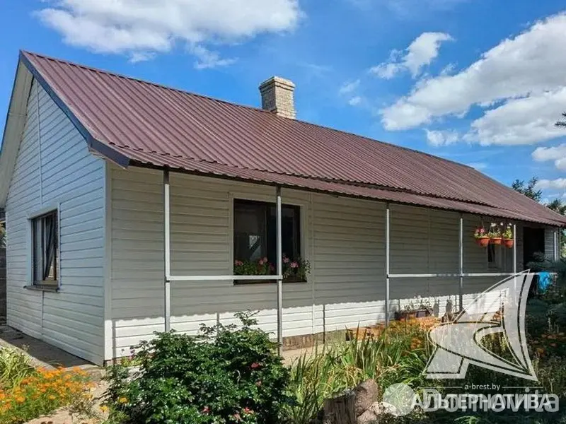 дом, Дружба, 