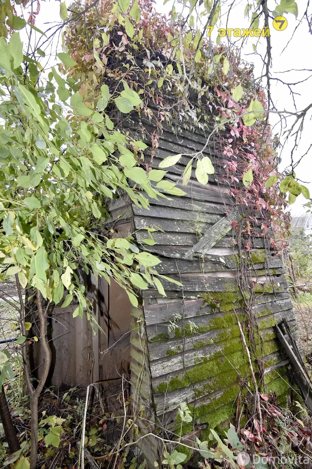 Продажа 3-этажной дачи в Колосок Минская область, 28500USD, код 180524 - фото 37