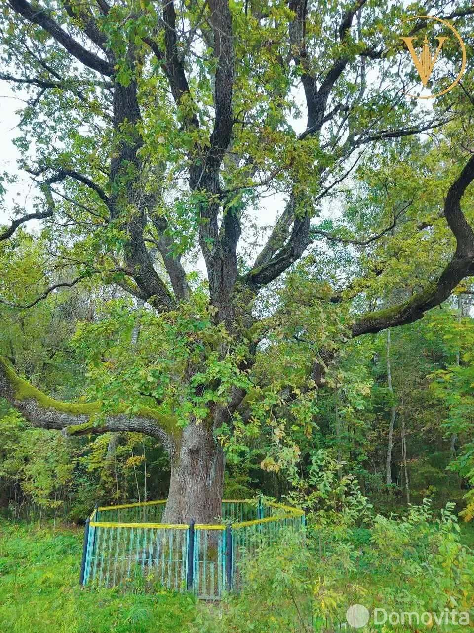 Купить 2-этажную дачу в Лесное-90 Минская область, 10500USD, код 185585 - фото 12