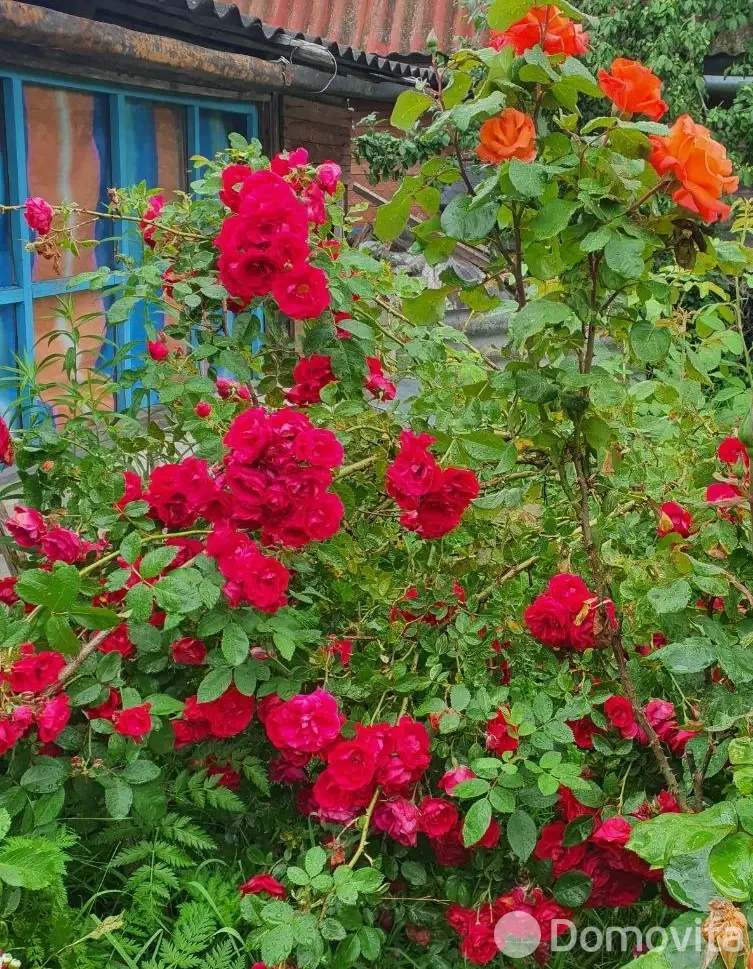 участок, Загорье-1, 