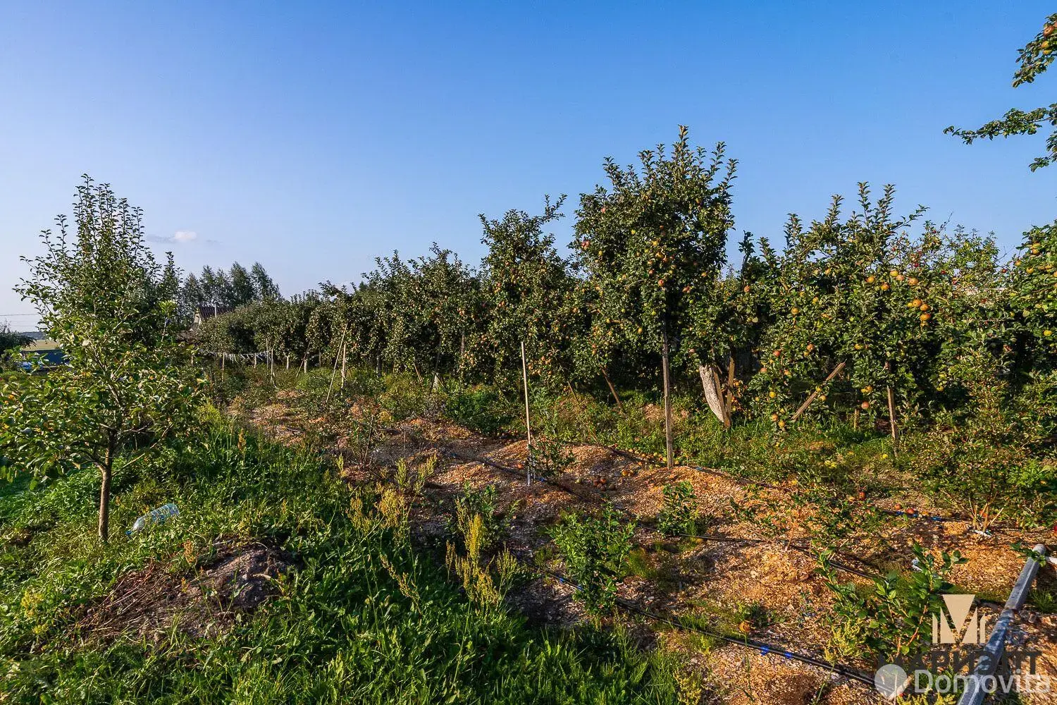 коттедж, Жирмоны 1, ул. Центральная