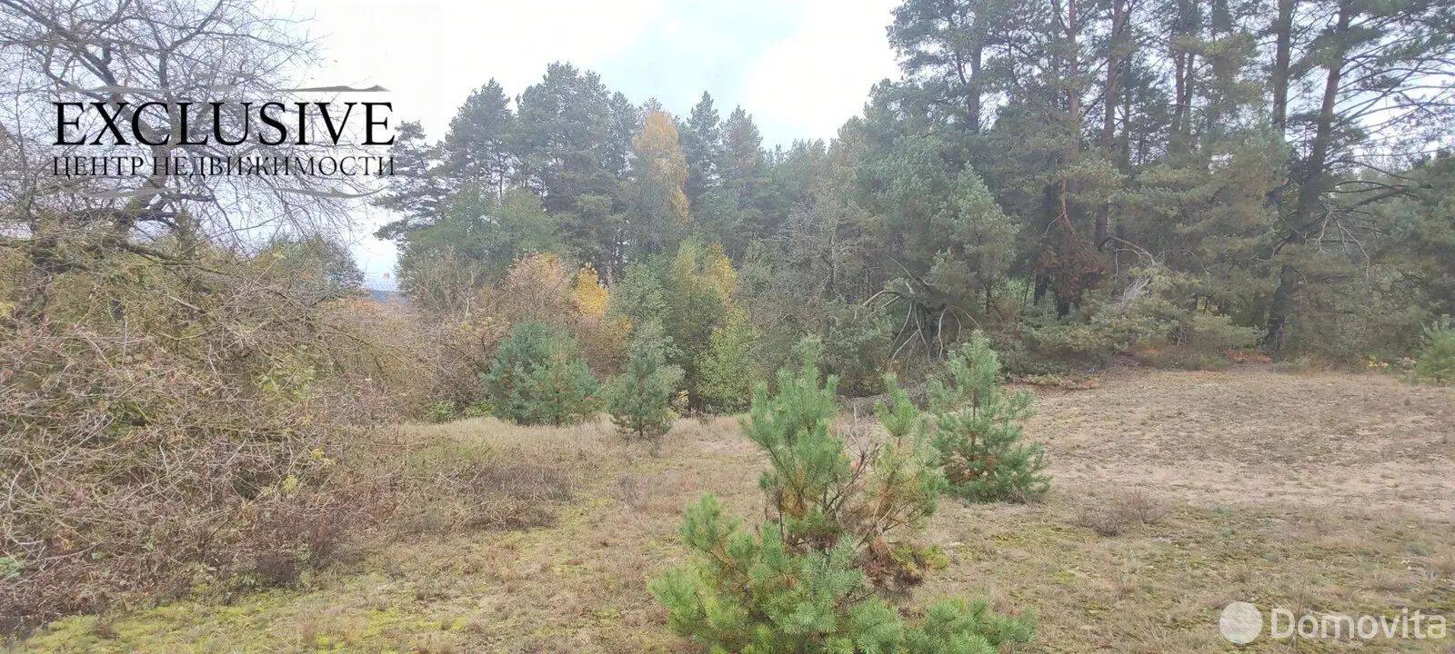 дом, Бержелаты, 