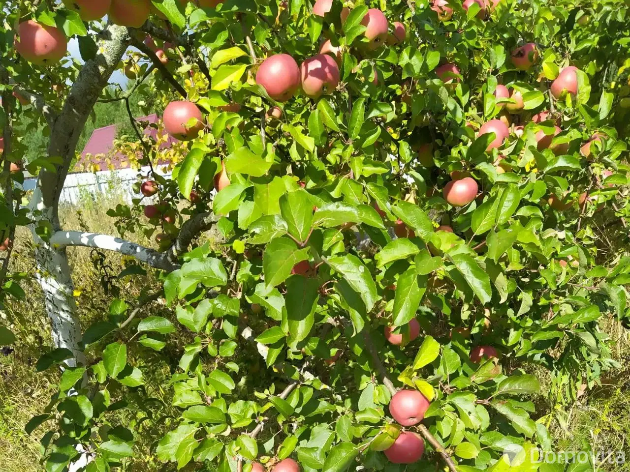 продажа участка, Весна-93, 