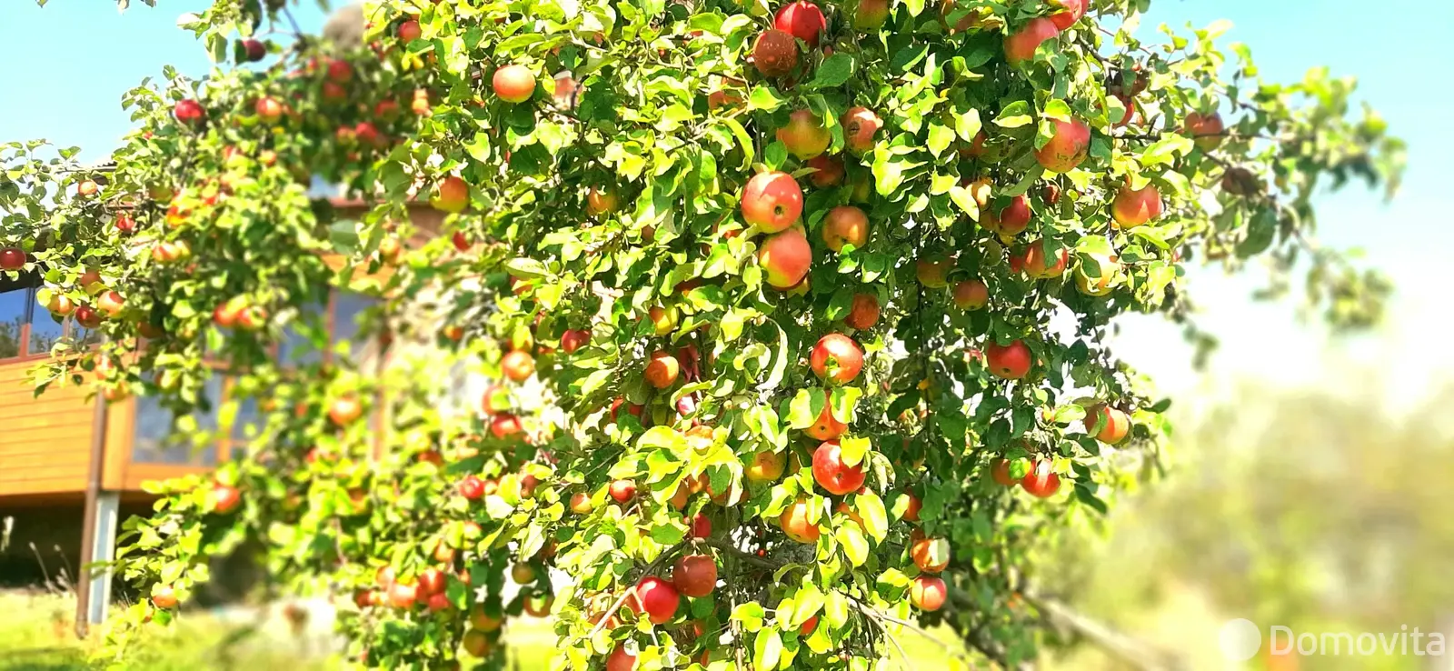 Стоимость продажи дома, Нелидовичи, ул. Молодежная, д. 9/А