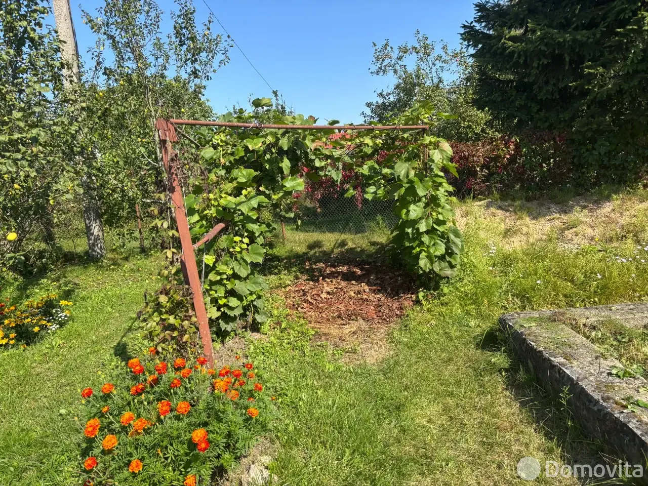 дача, Голубика,