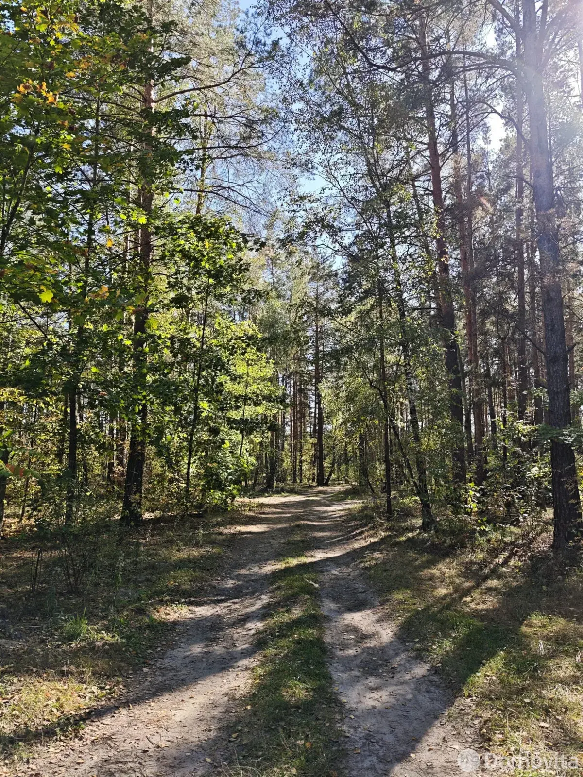 Продажа 1-этажной дачи в Калинино Гомельская область, 51000BYN, код 186113 - фото 21