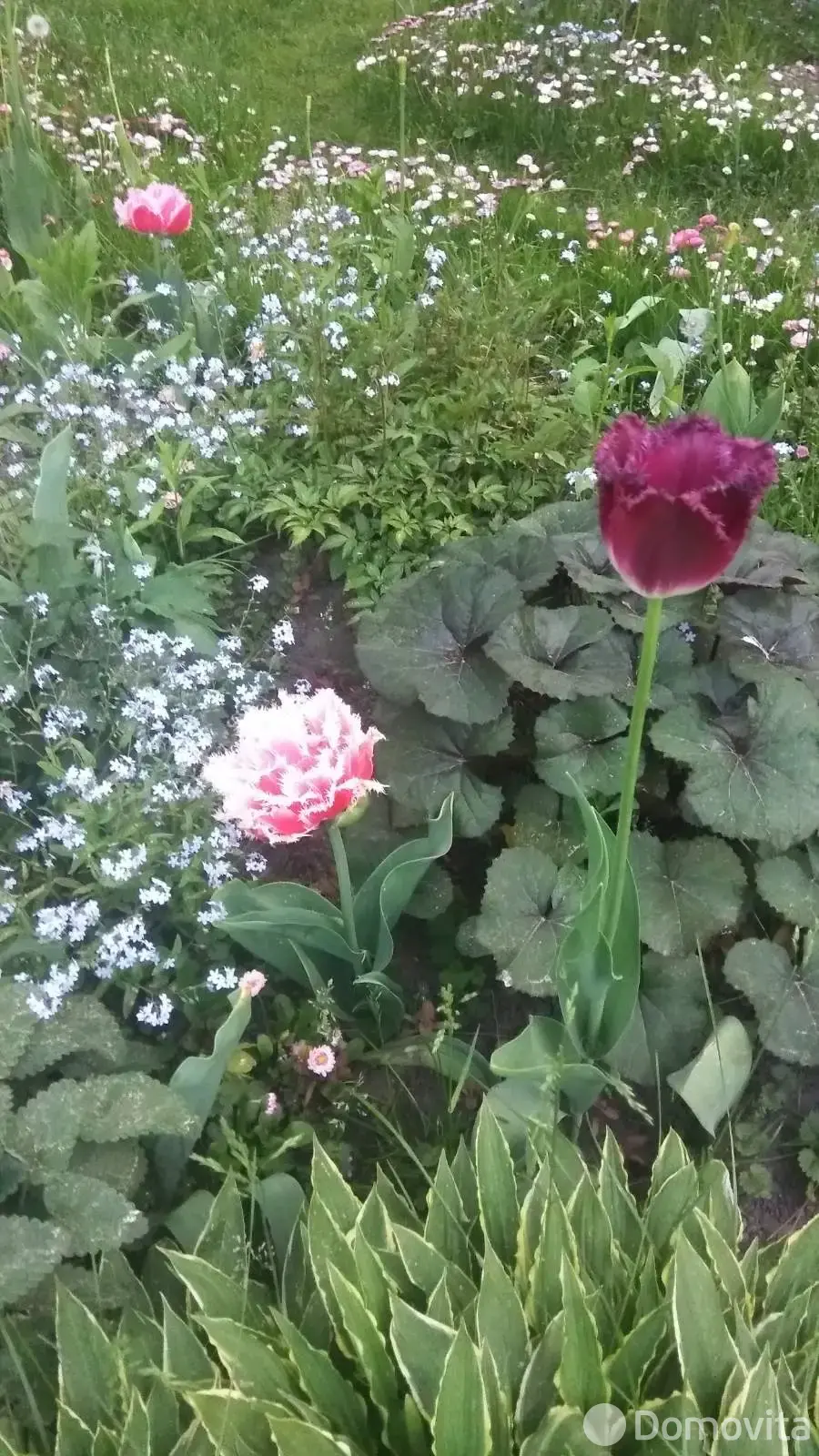 Купить 2-этажную дачу в Верас Минская область, 27000USD, код 184724 - фото 14